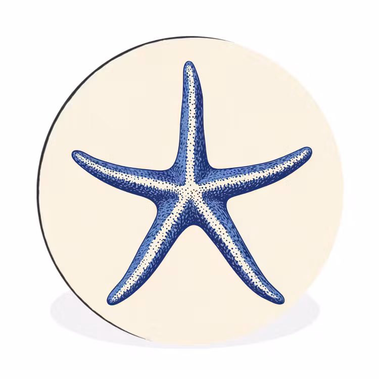 Wandcirkel - Aluminium - Blauwe zeester - Minimalistisch - Beige — 1