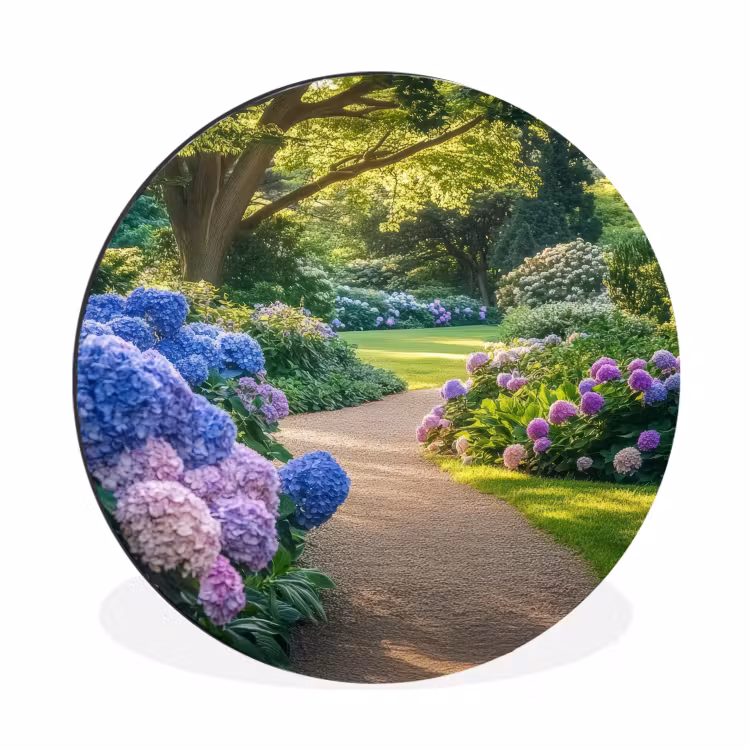 Wandcirkel - Aluminium - Hortensia- Park - Pad — 1