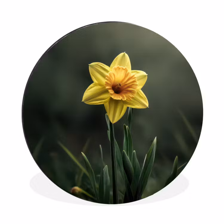 Wandcirkel - Aluminium - Bloem - Narcis - Gras - Geel — 1