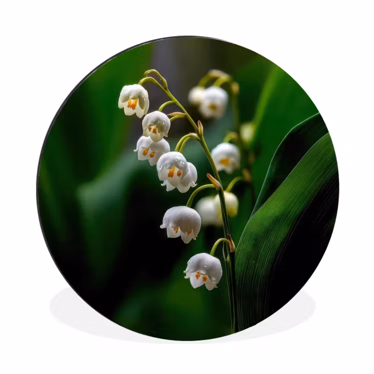 Wandcirkel - Aluminium - Bloemen - Wit - Bladeren - Lelietjes — 1