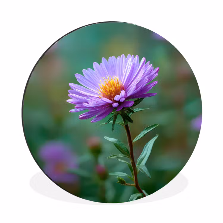 Wandcirkel - Aluminium - Aster - Paars - Bloem - Blaadjes — 1