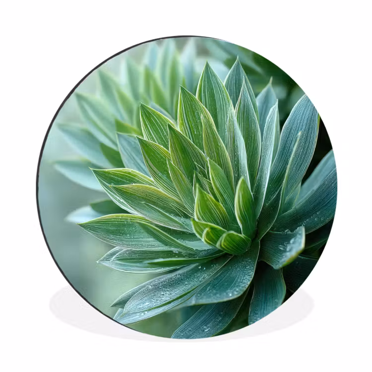 Wandcirkel - Aluminium - Blad - Plant - Groen - Textuur — 1