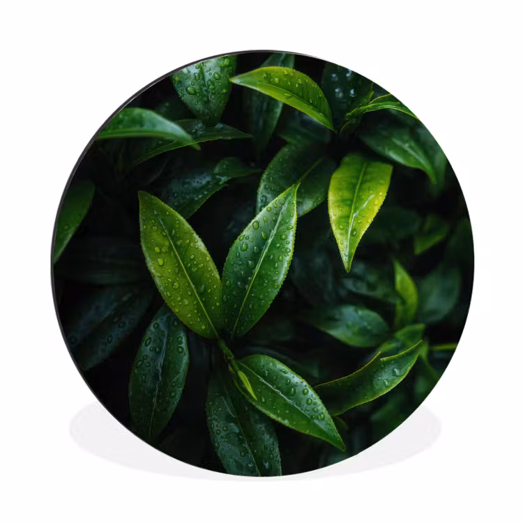 Wandcirkel - Aluminium - Bladeren - Regendruppels - Licht - Groen — 1