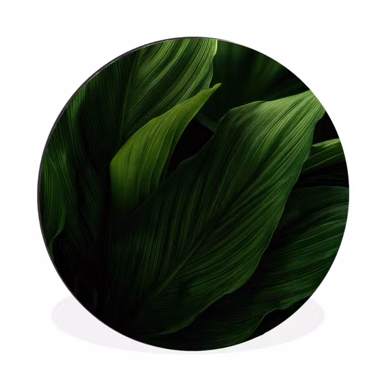 Wandcirkel - Aluminium - Bladeren - Schaduw - Groen - Textuur — 1