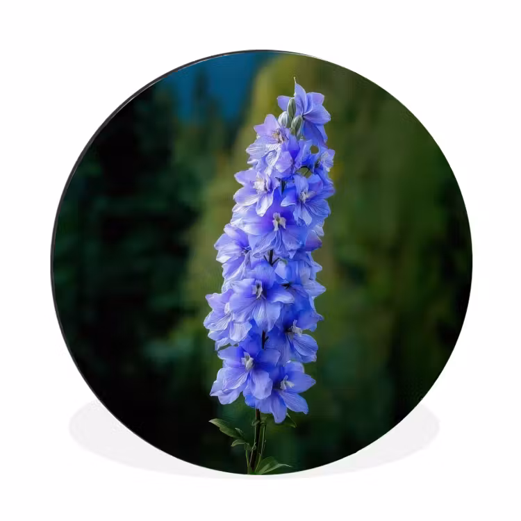 Wandcirkel - Aluminium - Bloemen - Blauw - Dennenboom — 1