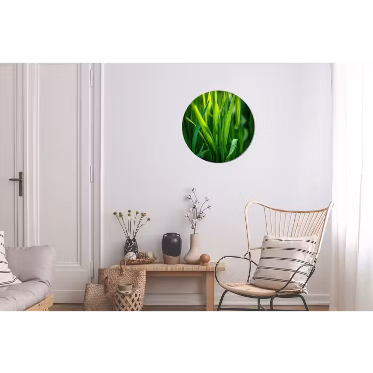 Wandcirkel - Aluminium - Grassprieten - Lichtinval - Groen — 2