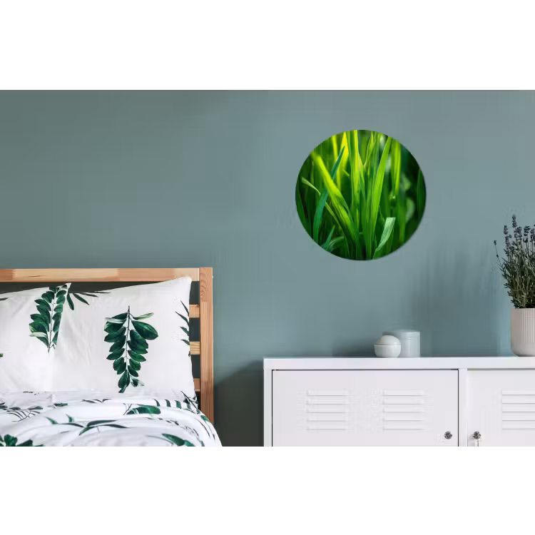 Wandcirkel - Aluminium - Grassprieten - Lichtinval - Groen — 4