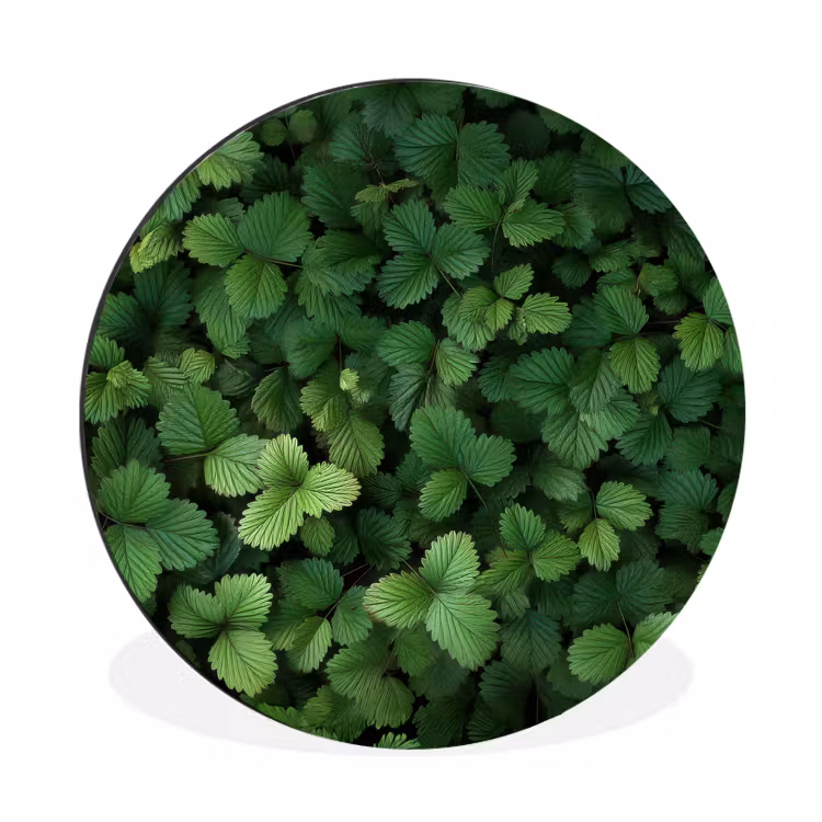 Wandcirkel - Aluminium - Groen - Bladeren - Kartel - Zonlicht — 1