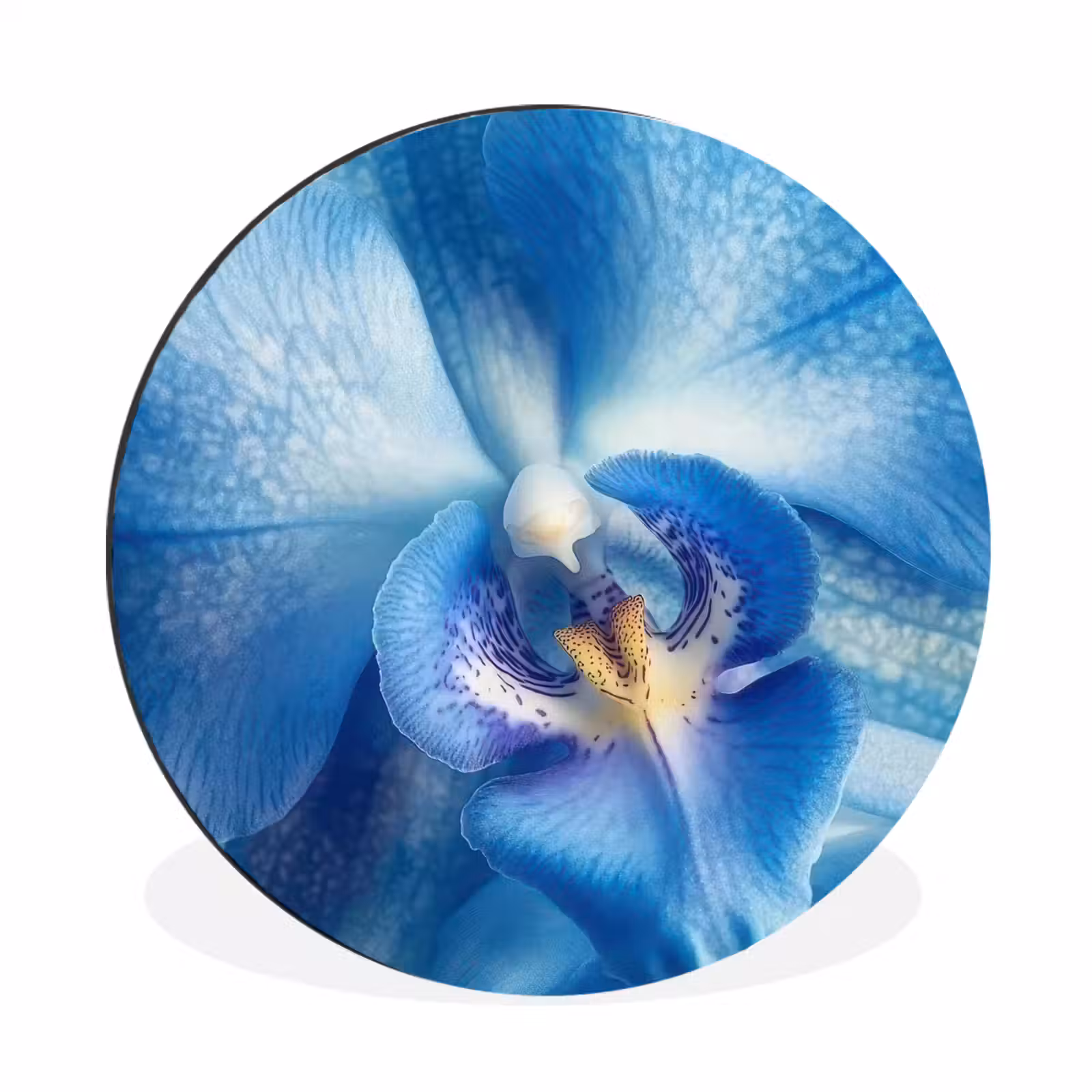 Wandcirkel - Aluminium - Blauw - Orchidee - Elegeant — 1