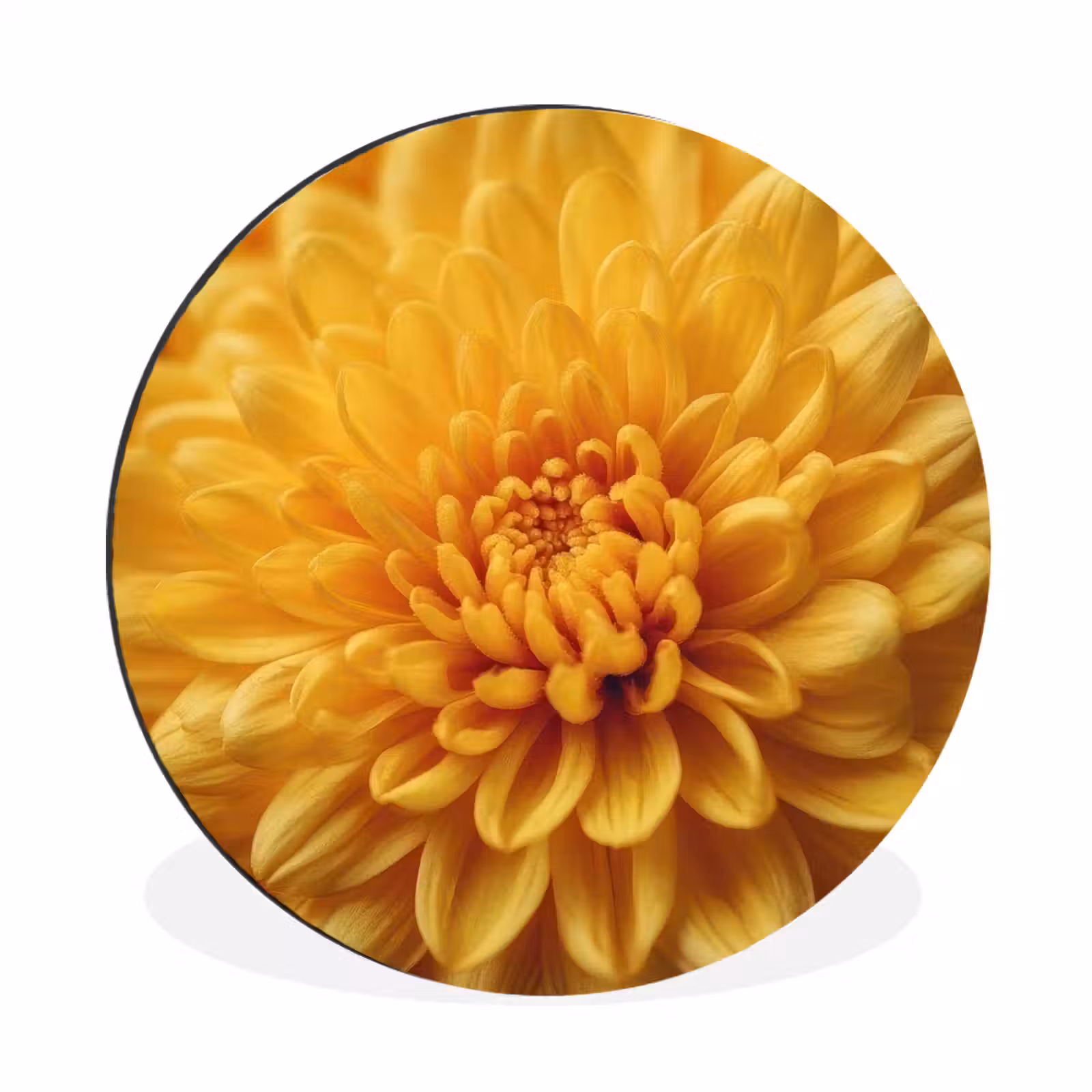 Wandcirkel - Aluminium - Geel - Chrysant - Zachtheid — 1