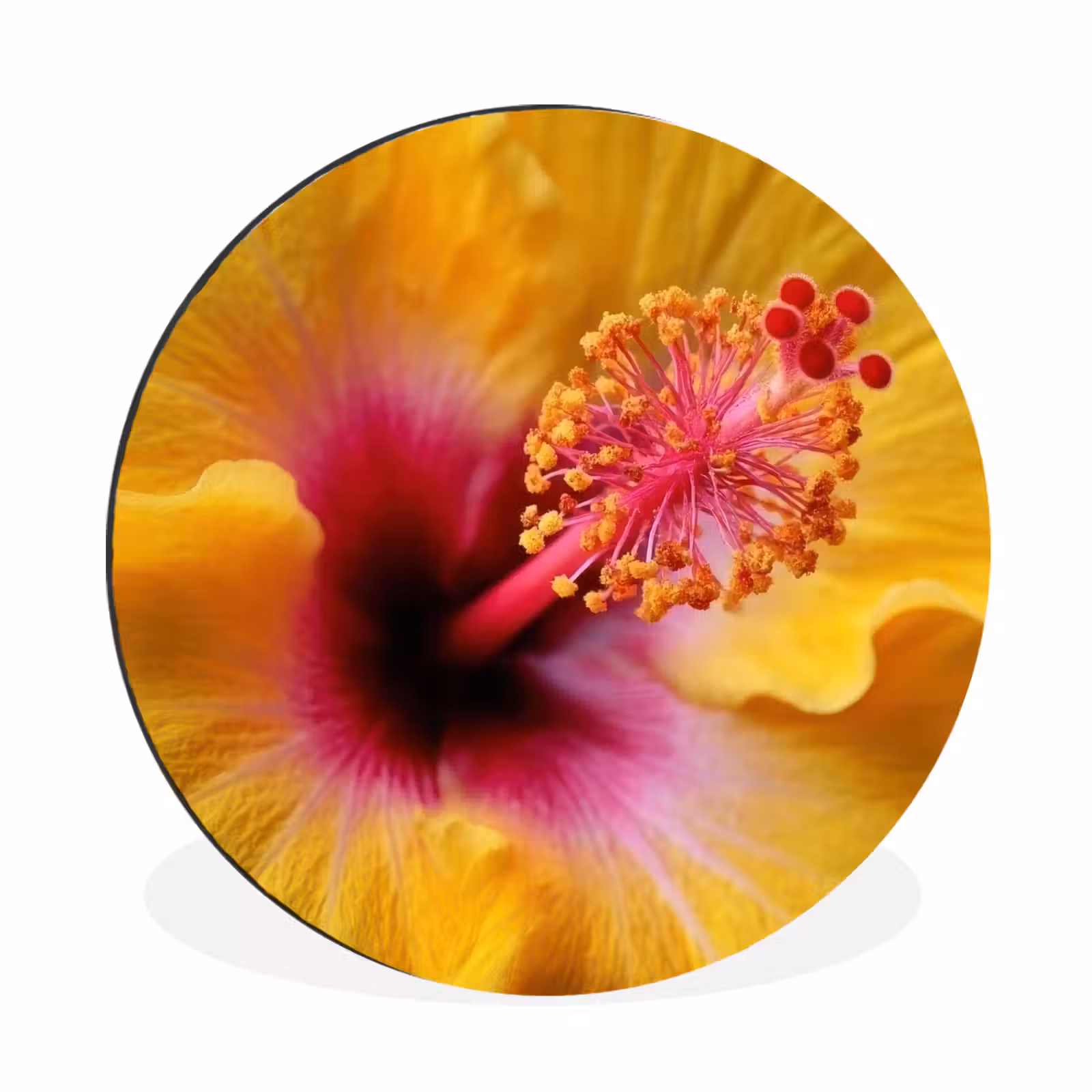 Wandcirkel - Aluminium - Geel - Hibiscus - Tropisch — 1