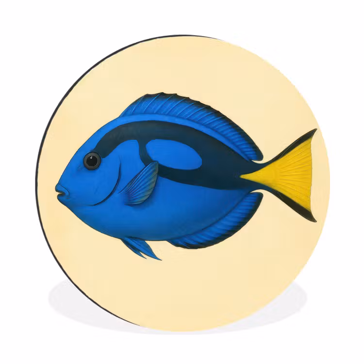 Wandcirkel - Aluminium - Blauw - Dory - Vis - Staartvin — 1