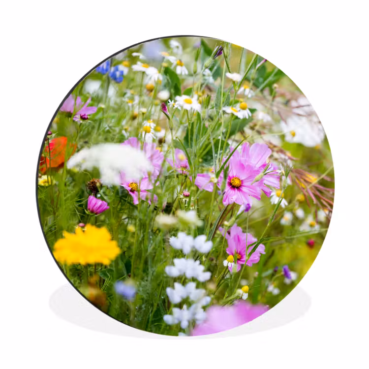 Wandcirkel - Aluminium - Bloemen - Natuur - Groen - Gras - Paars - Wit — 1