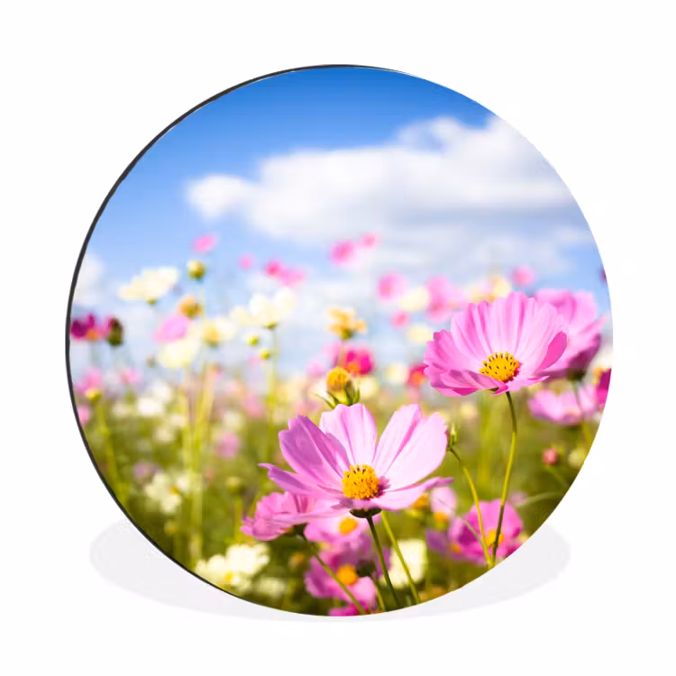 Wandcirkel - Aluminium - Bloemen - Wei - Paars - Gras - Wit - Wolken - Blauw — 1