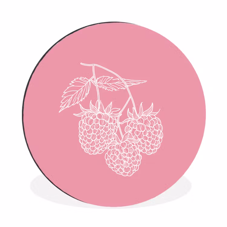 Wandcirkel - Aluminium - Frambozen - Steel - Getekend - Roze — 1
