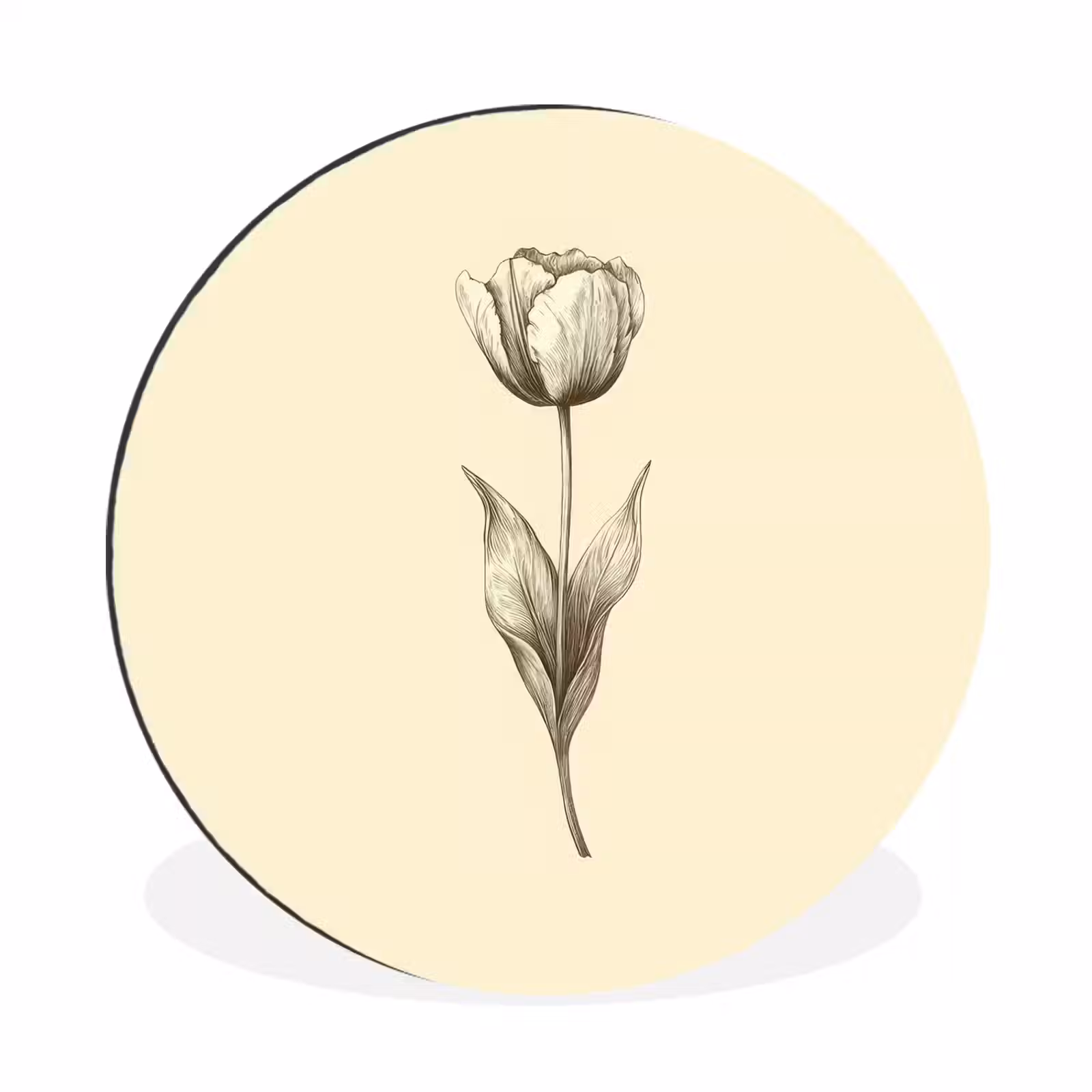 Wandcirkel - Aluminium - Illustratie - Tulp - Zwart — 1
