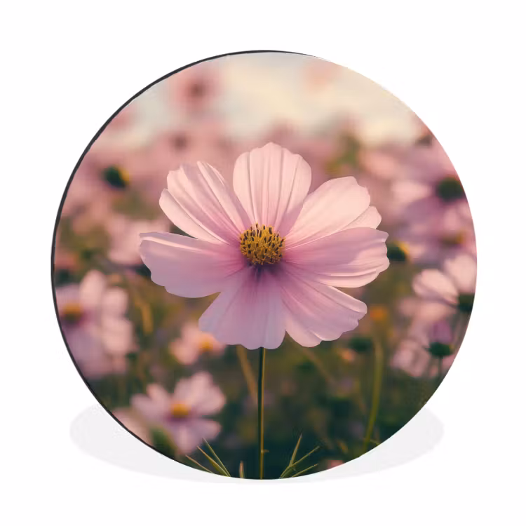 Wandcirkel - Aluminium - Bloemen - Paars - Wazig — 1