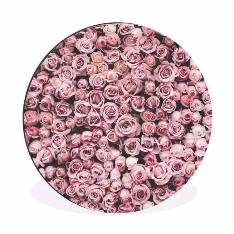 Wandcirkel - Aluminium - Bloemen - Rozen - Natuur - Roze - Botanisch — 1