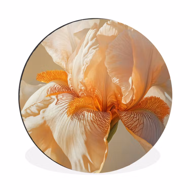 Wandcirkel - Aluminium - Close up - Oranje - Iris — 1