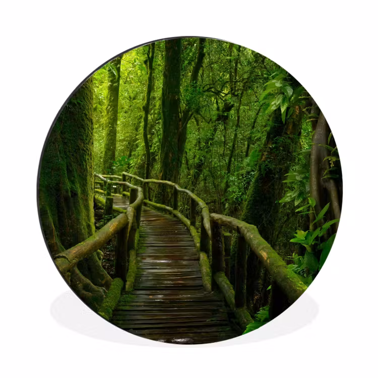 Wandcirkel - Aluminium - Jungle - Brug - Mos - Natuur - Tropisch — 1