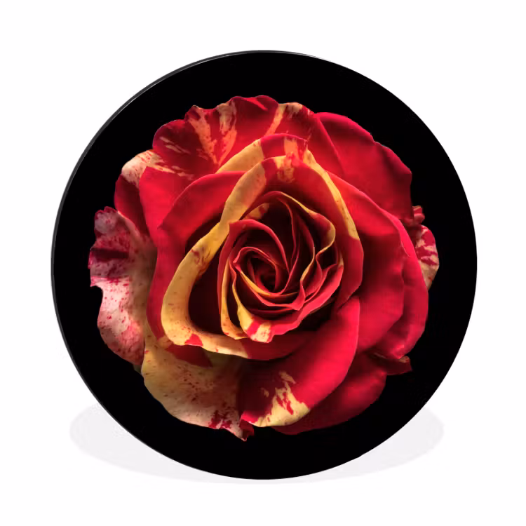 Wandcirkel - Aluminium - Bloem - Roos - Rood - Zwart — 1
