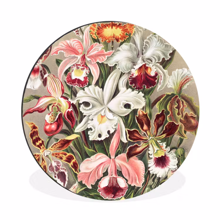 Wandcirkel - Aluminium - Bloemen - Ernst Haeckel - Vintage - Orchidee — 1