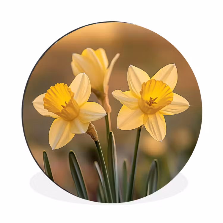 Wandcirkel - Aluminium - Bloemen - Geel - Wazig — 1