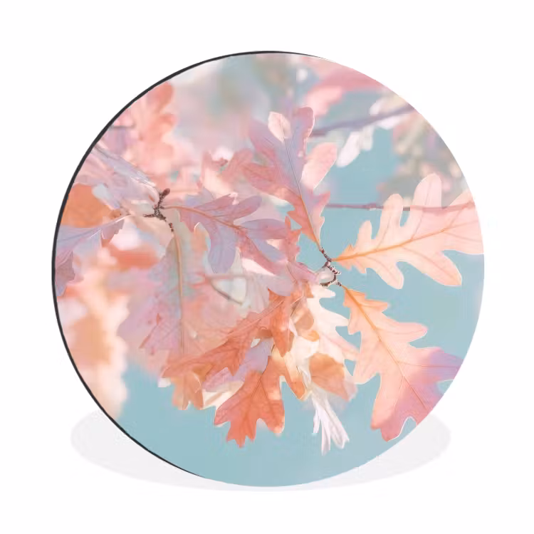 Wandcirkel - Aluminium - Eikenbladeren - Takken - Roze — 1