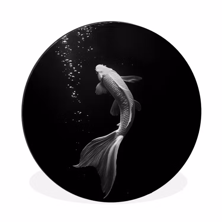 Wandcirkel - Aluminium - Koi - Vis - Wit - Zwart — 1