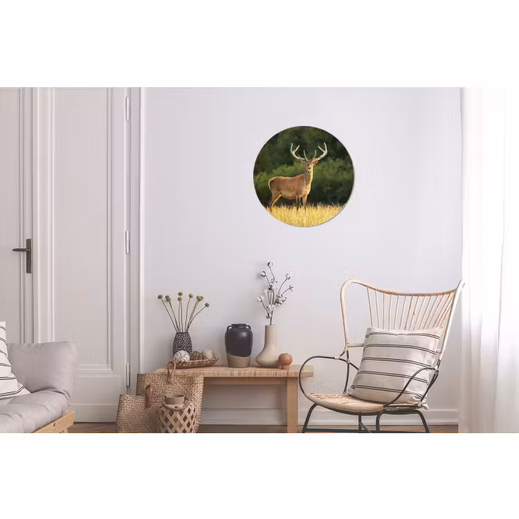 Wandcirkel - Aluminium - Hert - Gewei - Gras - Natuur - Dieren - Groen — 2