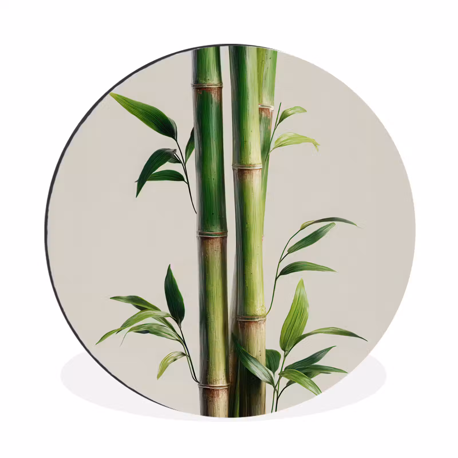 Wandcirkel - Aluminium - Bamboestengels - Sierlijk - Groen — 1