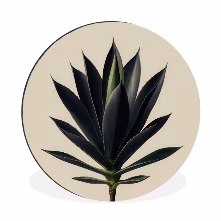 Wandcirkel - Aluminium - Agaveplant - Symmetrisch - Groen — 1