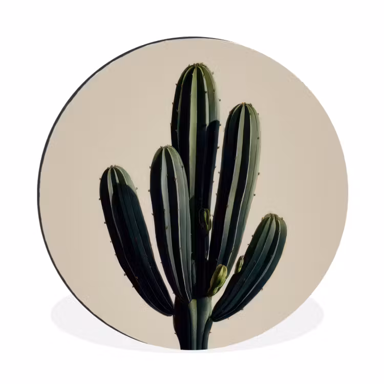 Wandcirkel - Aluminium - Cactus - Subtiel - Groen — 1