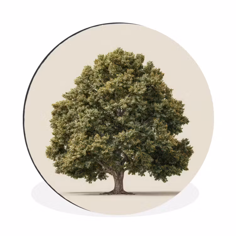 Wandcirkel - Aluminium - Eikenboom - Groen - Lichte achtergrond — 1