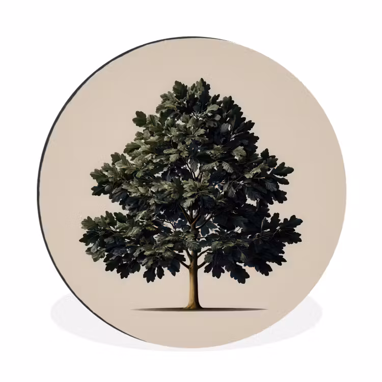 Wandcirkel - Aluminium - Eikenboom - Schaduw - Egaal — 1