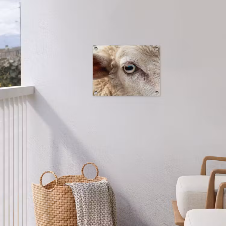 Tuinposter - Schaap - Oog - Wit — 3