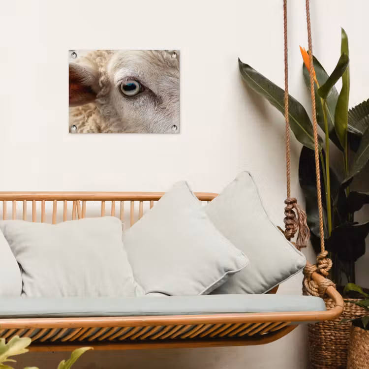 Tuinposter - Schaap - Oog - Wit — 5