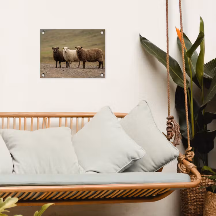 Tuinposter - Schapen - Bruin - Wit - Grindpad — 5