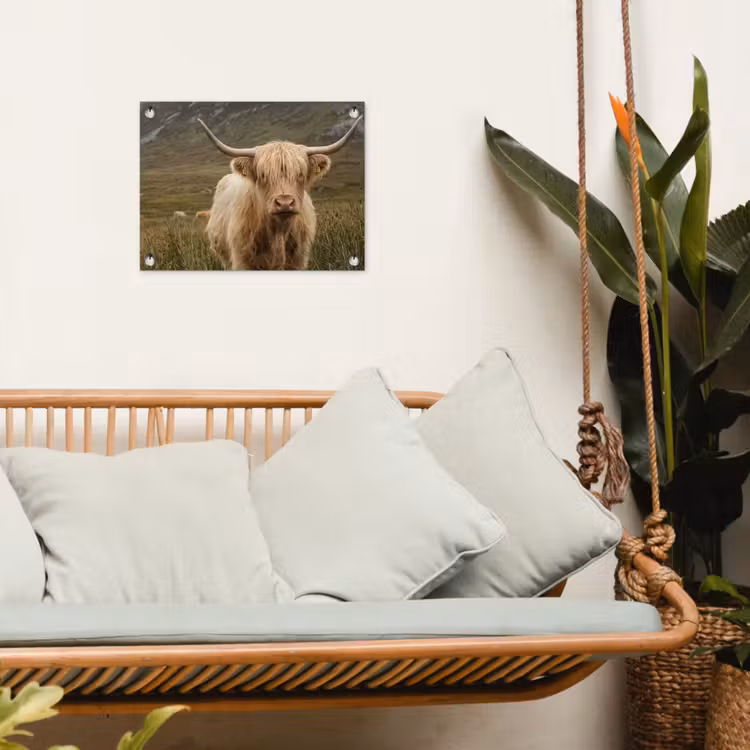 Tuinposter - Schotse hooglander - Bergen - Grasveld — 5