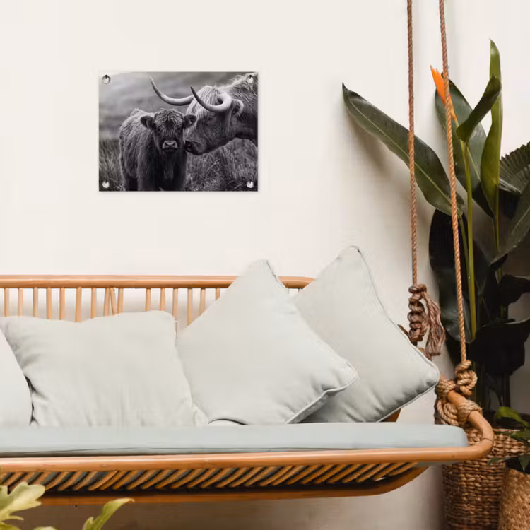 Tuinposter - Schotse hooglander - Kalf - Zwart - Wit — 5