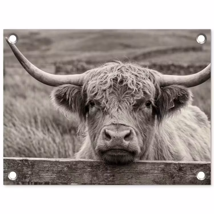 Tuinposter - Schotse hooglander - Zwart - Wit - Hout — 1