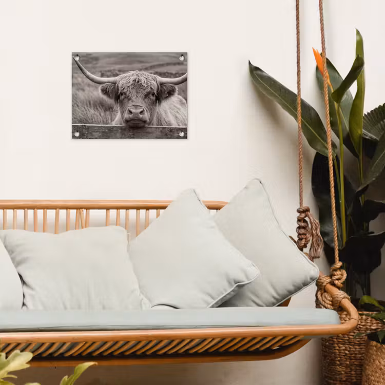 Tuinposter - Schotse hooglander - Zwart - Wit - Hout — 5