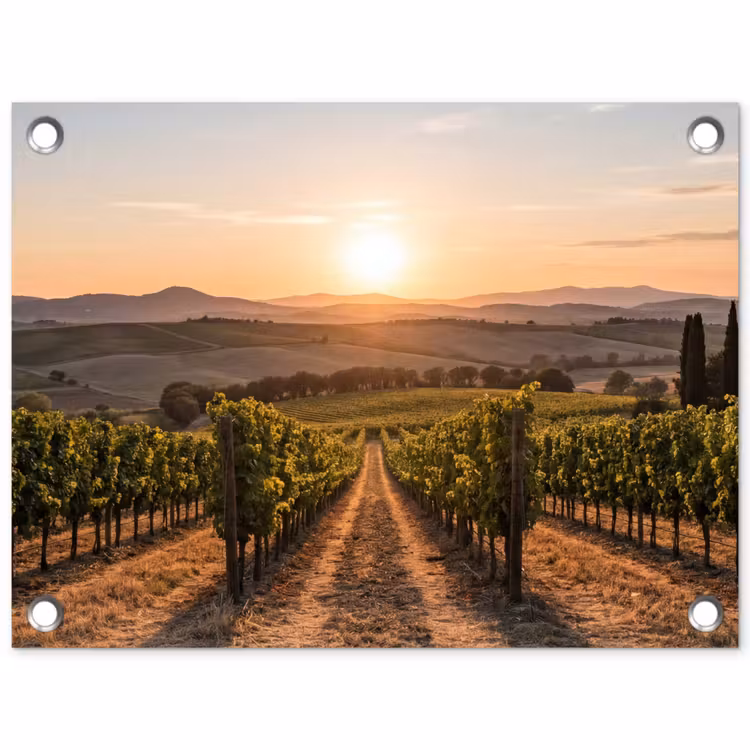 Tuinposter - Wijngaard - Zonsondergang - Landschap — 1