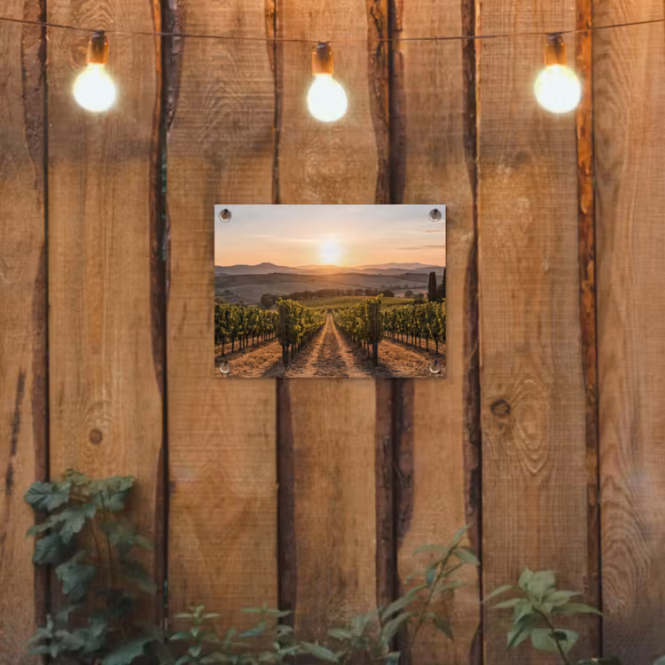 Tuinposter - Wijngaard - Zonsondergang - Landschap — 2