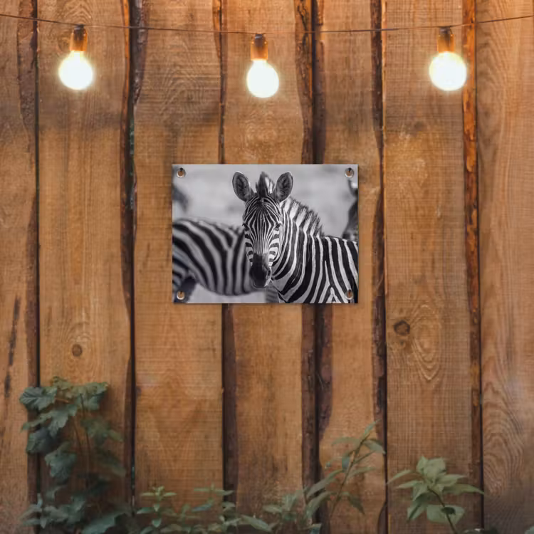 Tuinposter - Zebra's - Zwart - Wit — 2