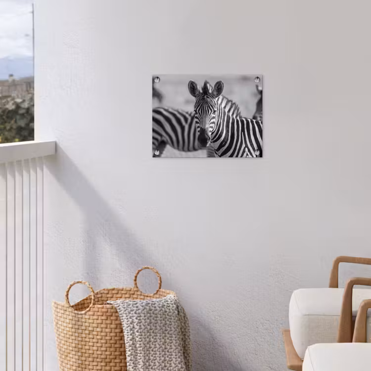 Tuinposter - Zebra's - Zwart - Wit — 3