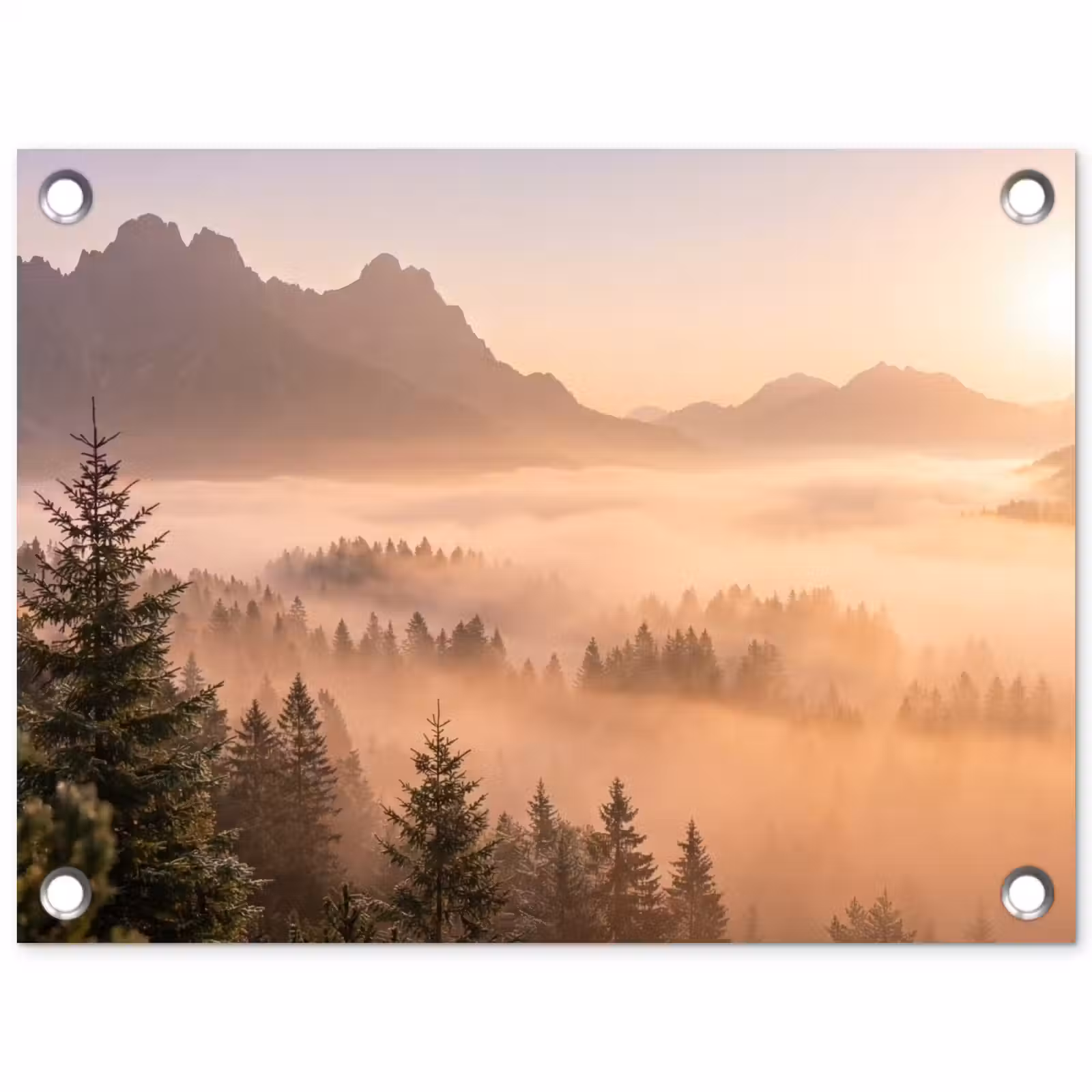 Tuinposter - Zonlicht - Mist - Bergen - Bomen — 1