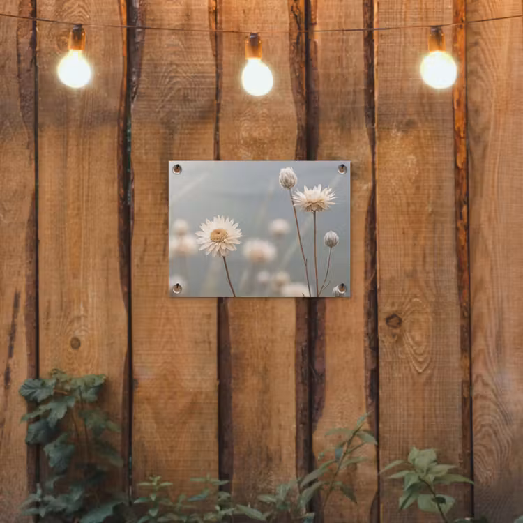 Tuinposter - Strobloemen - Wit - Daglicht — 2