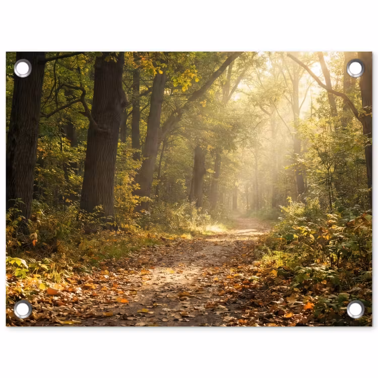 Tuinposter - Zonlicht - Bospad - Bomen — 1