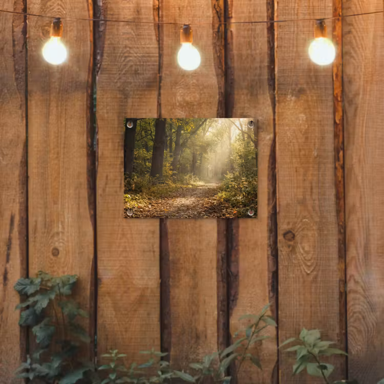 Tuinposter - Zonlicht - Bospad - Bomen — 2